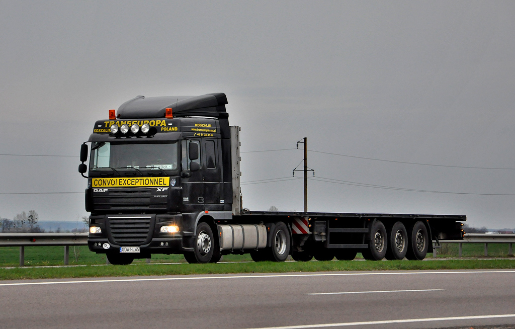 Польша, № GDA NL65 — DAF XF105 FT