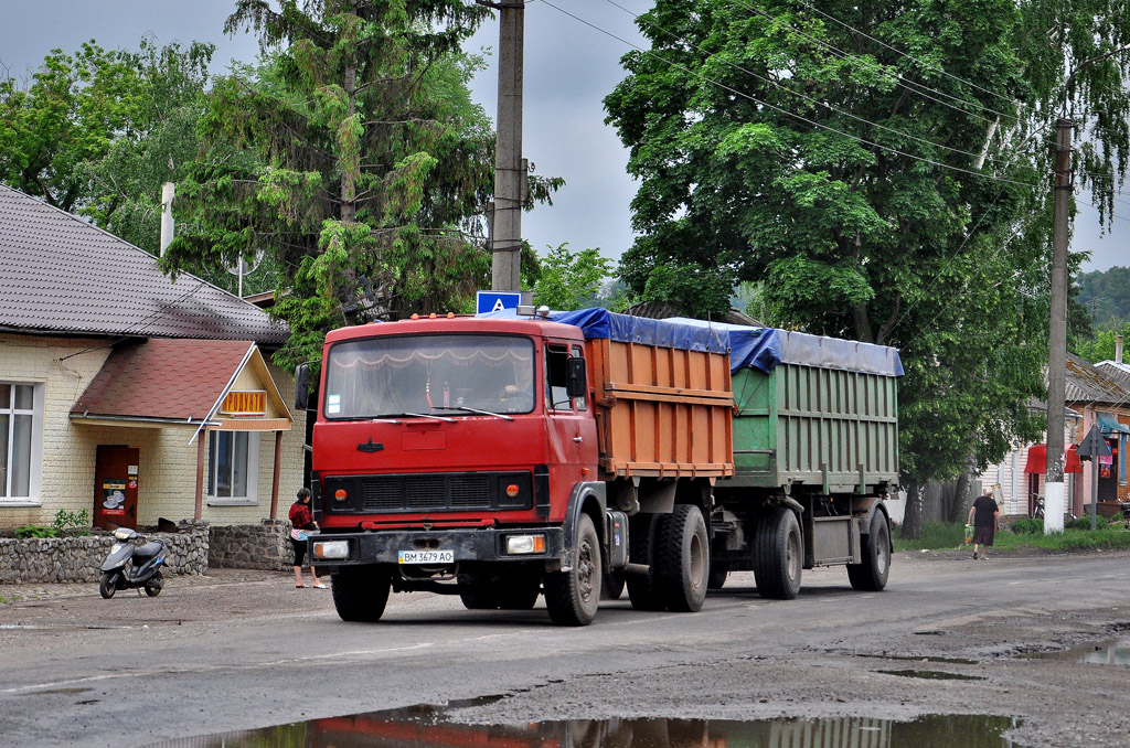 Сумская область, № ВМ 3679 АО — МАЗ-53371