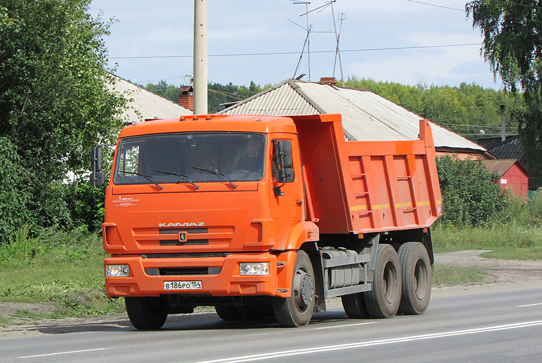 Новосибирская область, № В 186 РО 154 — КамАЗ-65115-N3