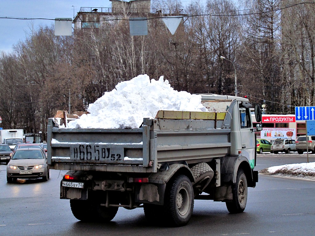 Нижегородская область, № Н 665 ВУ 52 — МАЗ-5551 [555100]