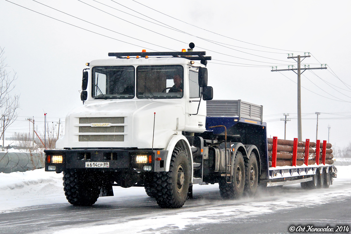 Ямало-Ненецкий автоном.округ, № А 614 СР 89 — МЗКТ (общая модель)