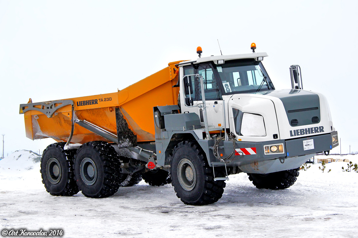 Ямало-Ненецкий автоном.округ, № (89) Б/Н 0002 — Liebherr TA 230 Litronic