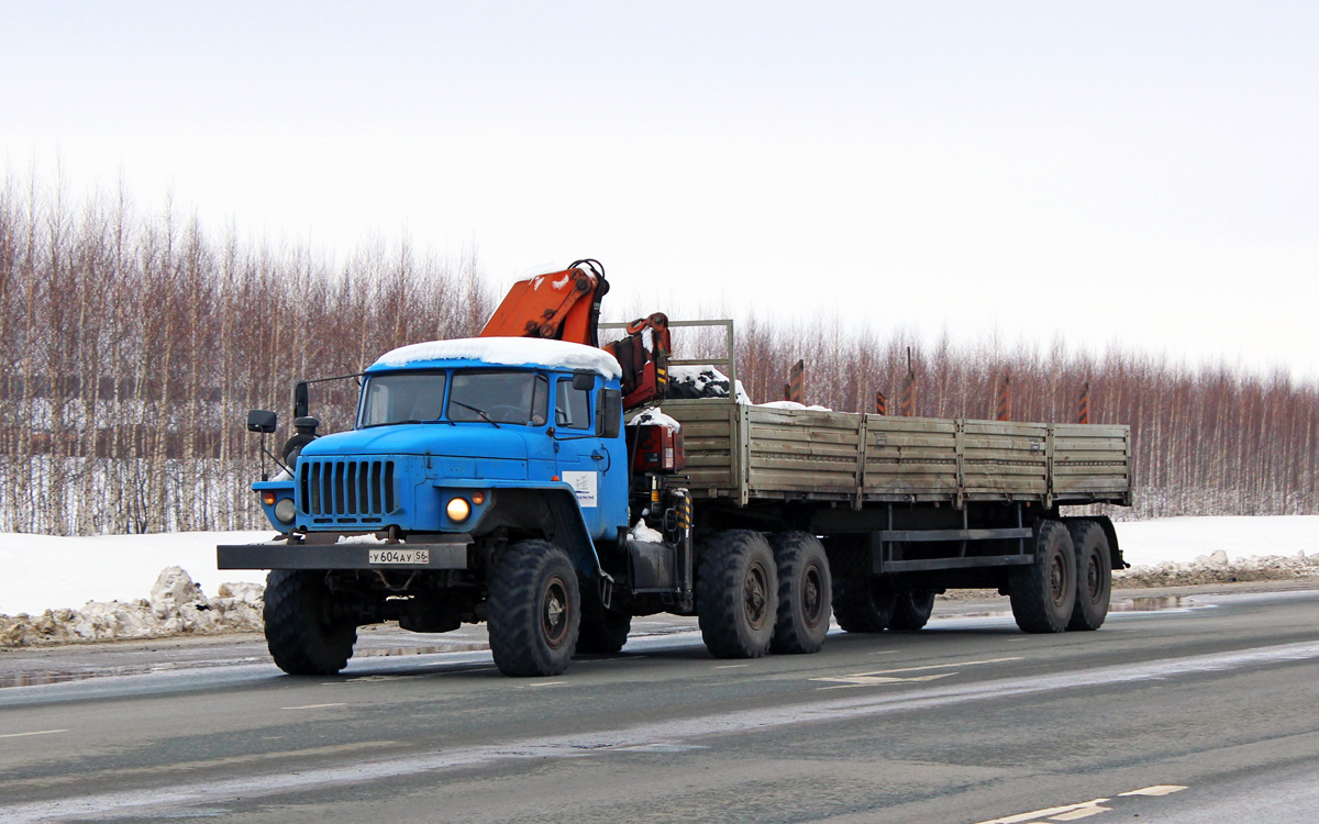 Оренбургская область, № У 604 АУ 56 — Урал-44202-41