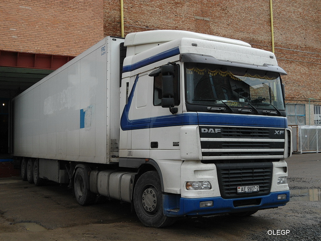 Витебская область, № АЕ 9907-2 — DAF XF95 FT