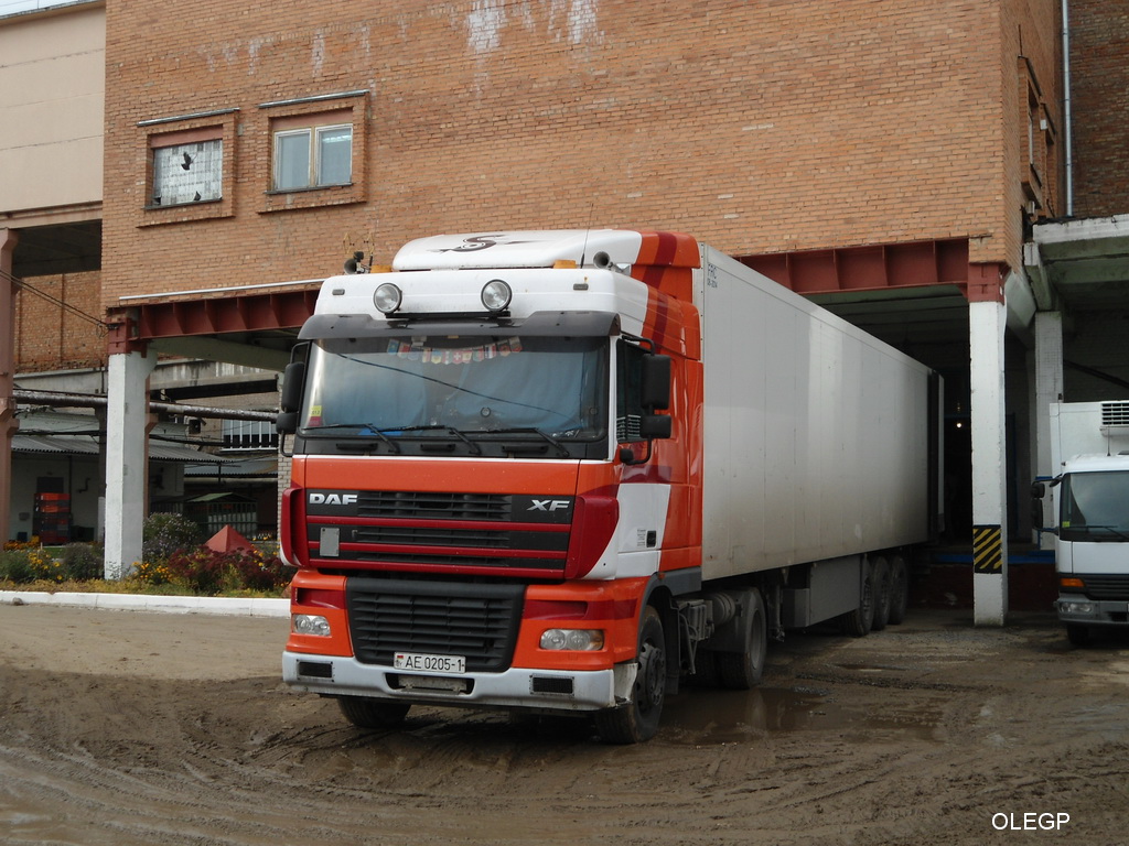 Брестская область, № АЕ 0205-1 — DAF XF95 FT