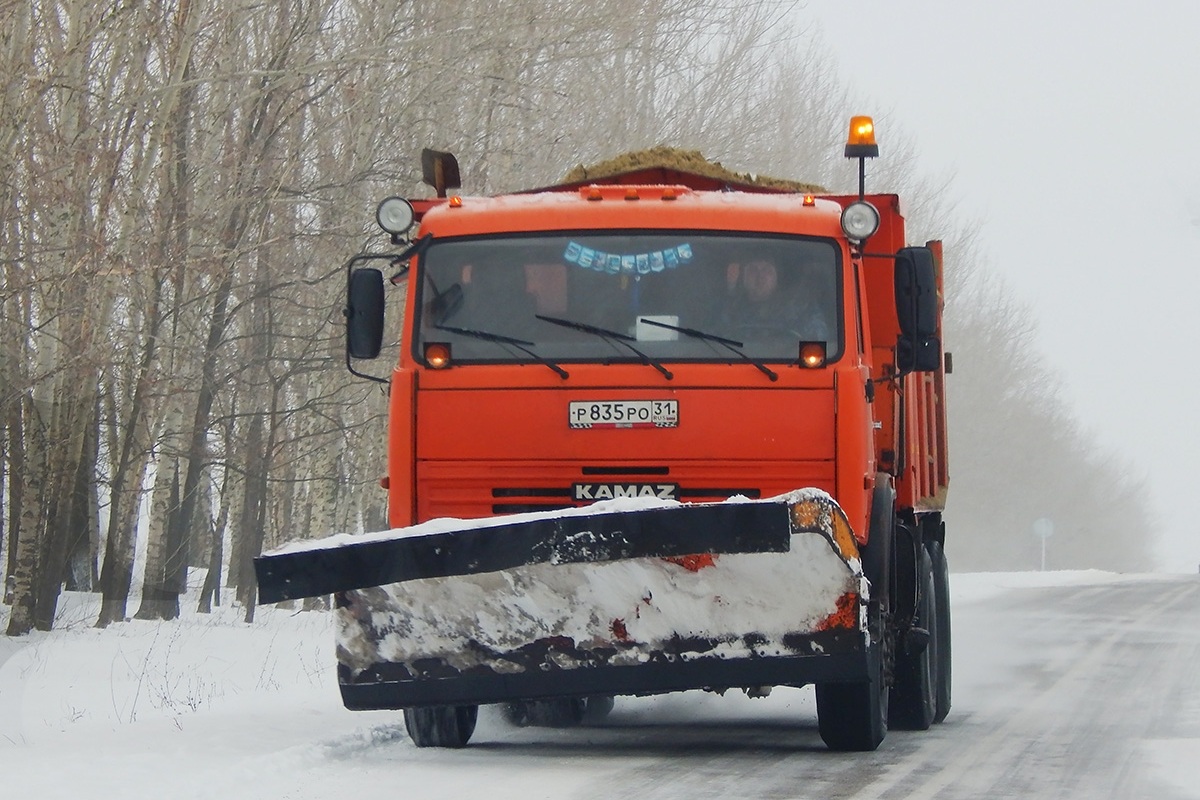 Белгородская область, № Р 835 РО 31 — КамАЗ-65115-62