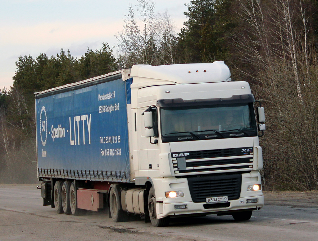 Владимирская область, № В 313 СУ 33 — DAF XF95 FT