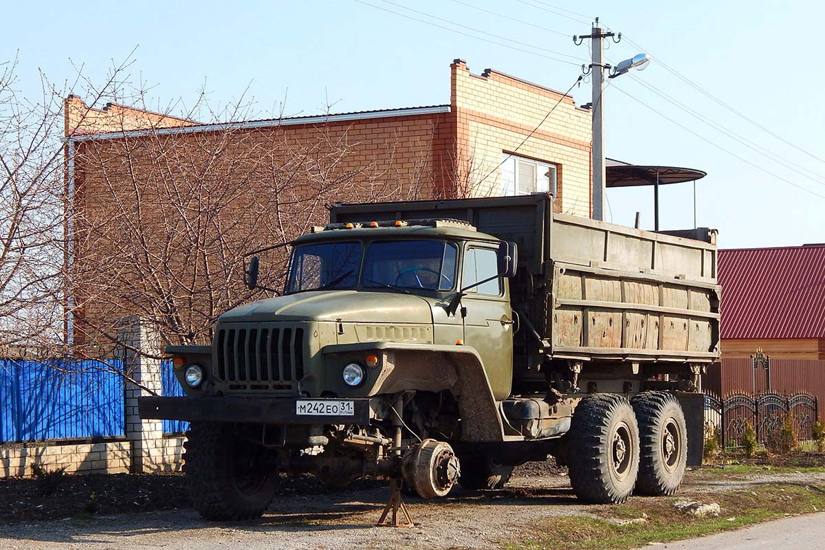 Белгородская область, № М 242 ЕО 31 — Урал-5557