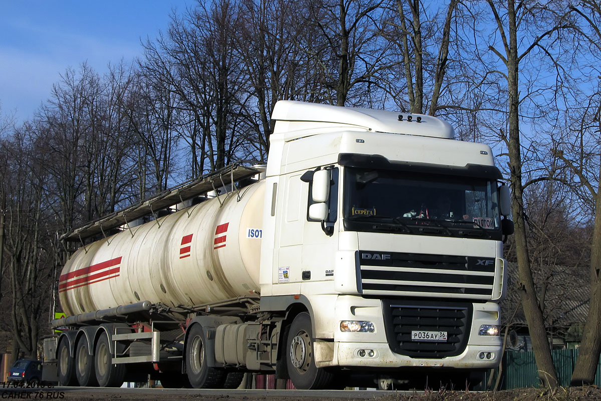 Воронежская область, № Р 036 АУ 36 — DAF XF105 FT