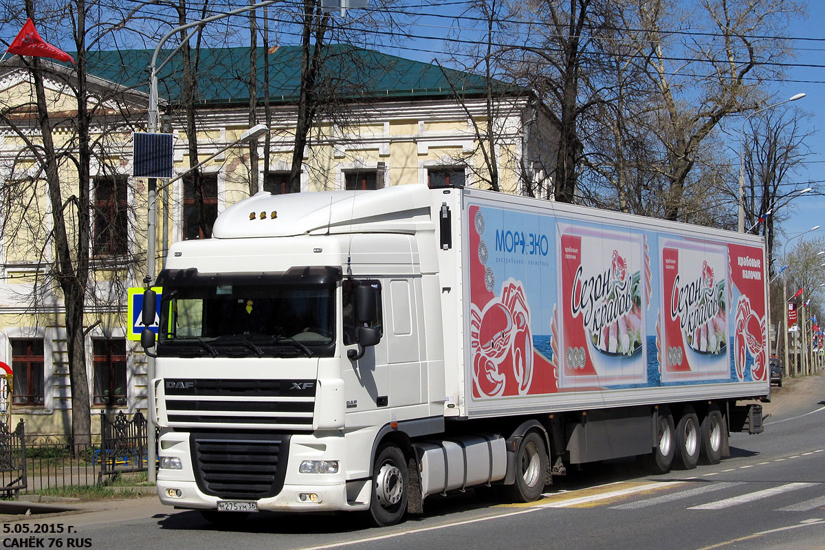 Воронежская область, № М 275 УМ 36 — DAF XF105 FT