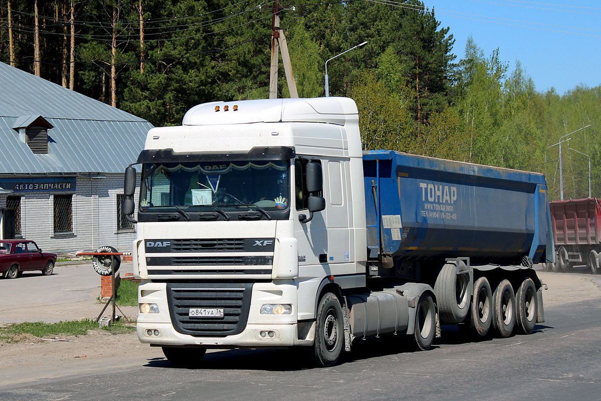 Воронежская область, № О 841 УА 36 — DAF XF105 FT