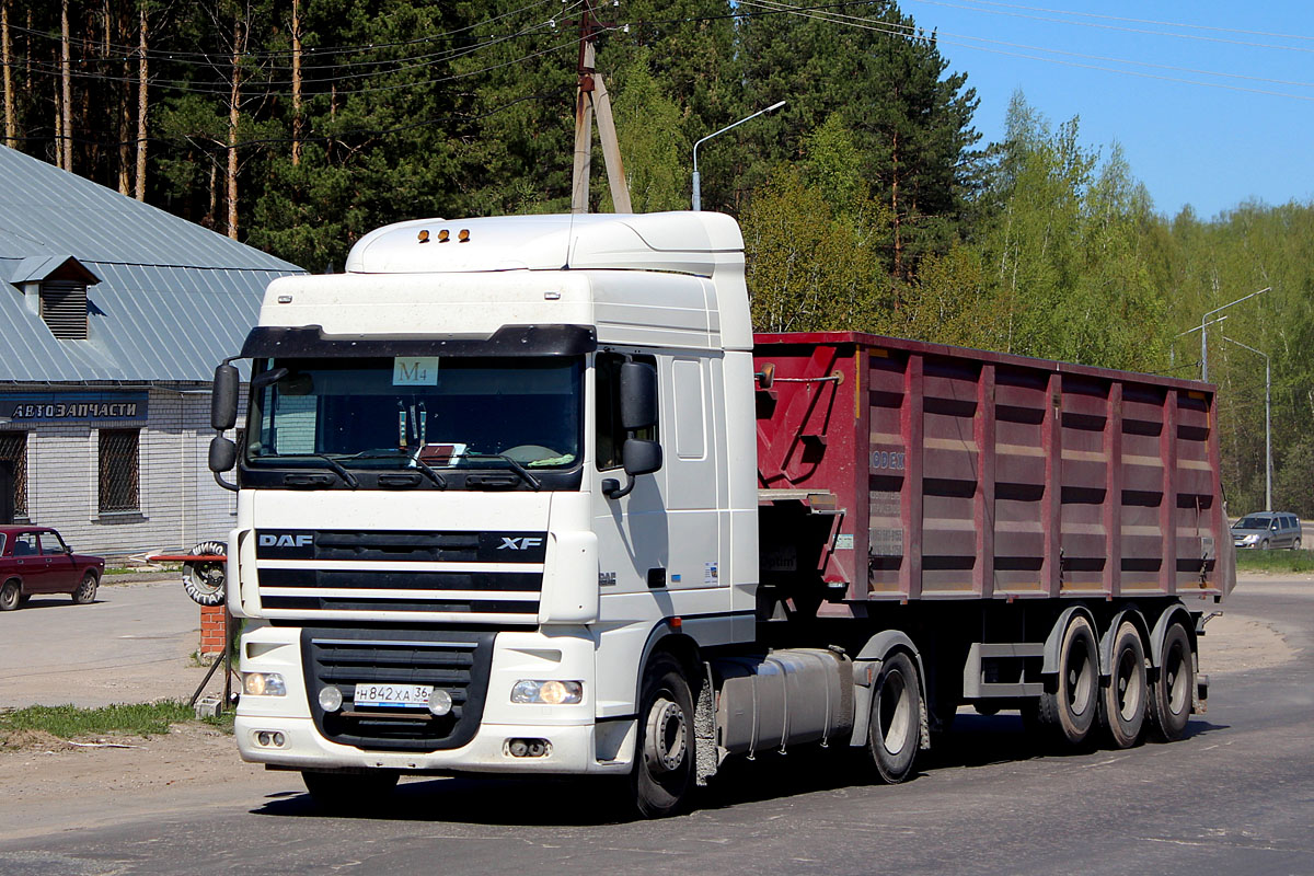 Воронежская область, № Н 842 ХА 36 — DAF XF105 FT