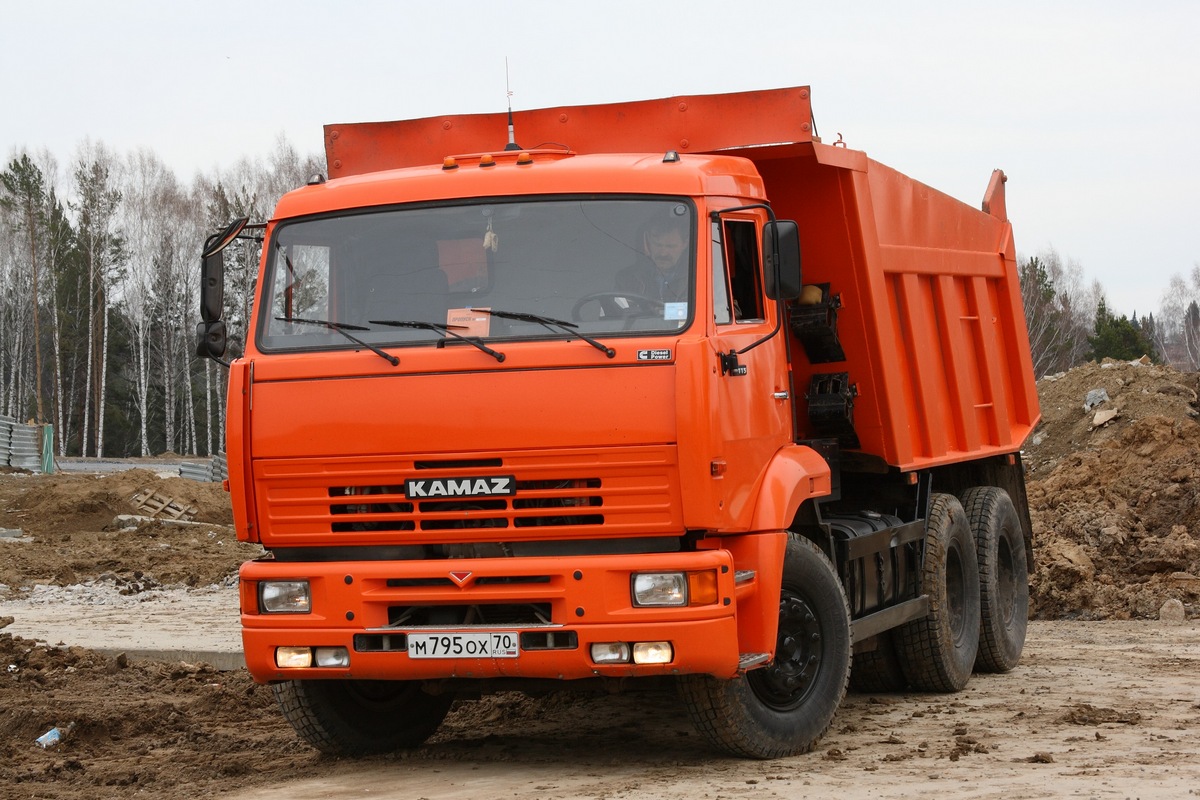 Томская область, № М 795 ОХ 70 — КамАЗ-65115 [X8V]