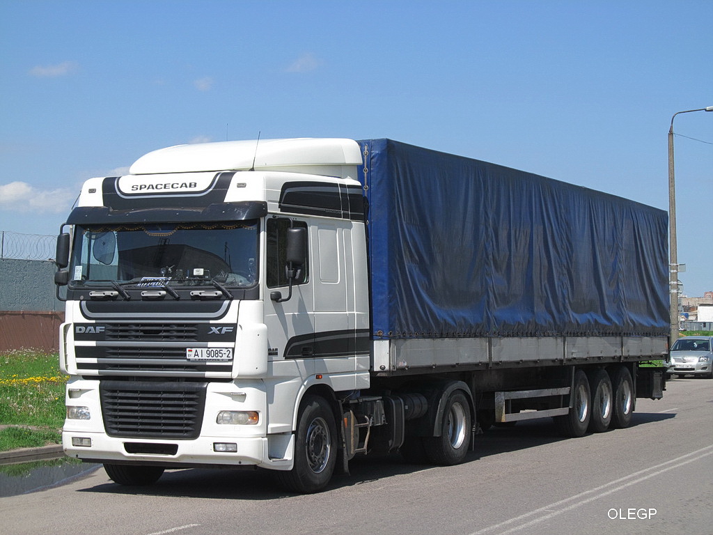 Витебская область, № АІ 9085-2 — DAF XF95 FT