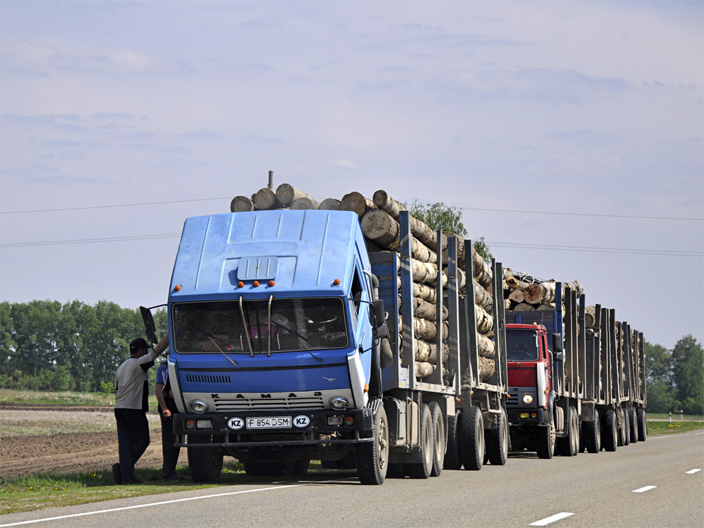 Восточно-Казахстанская область, № F 854 DSM — КамАЗ-5320