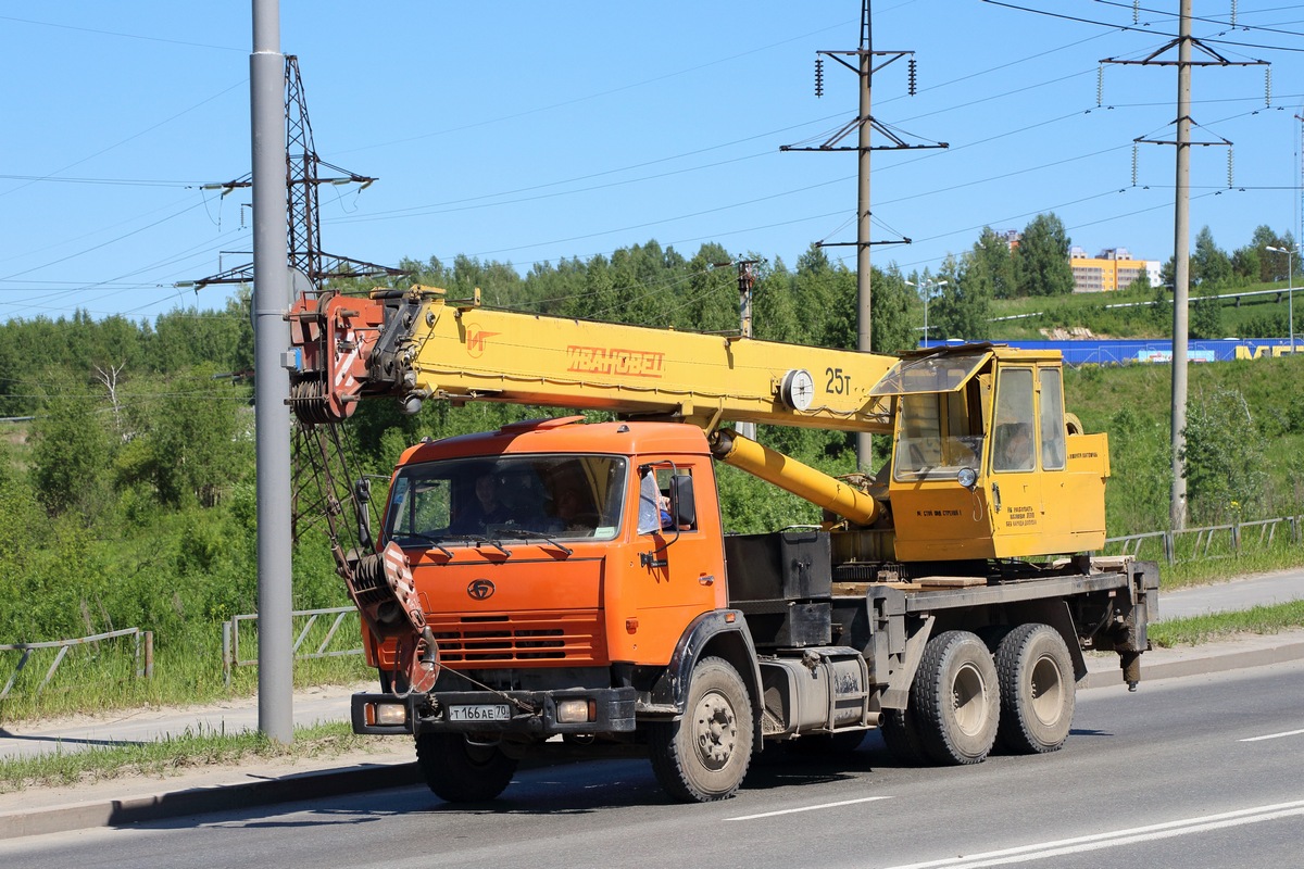 Томская область, № Т 166 АЕ 70 — БАЗ-8029