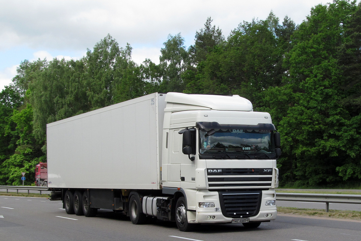 Брестская область, № АЕ 6965-1 — DAF XF105 FT