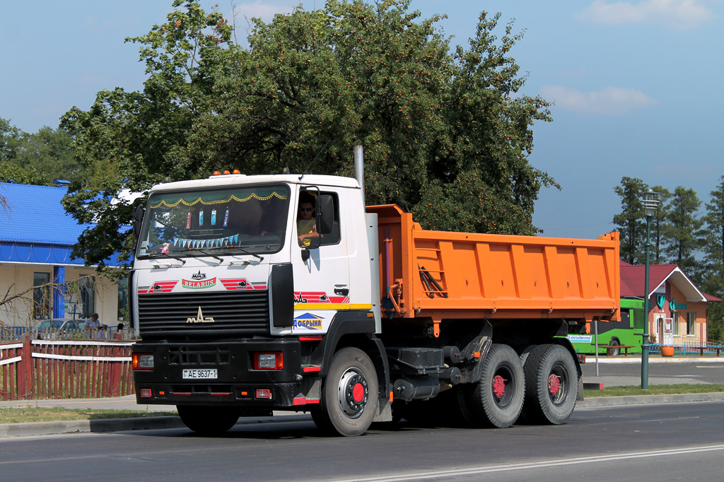 Брестская область, № АЕ 9637-1 — МАЗ-6501 (общая модель)