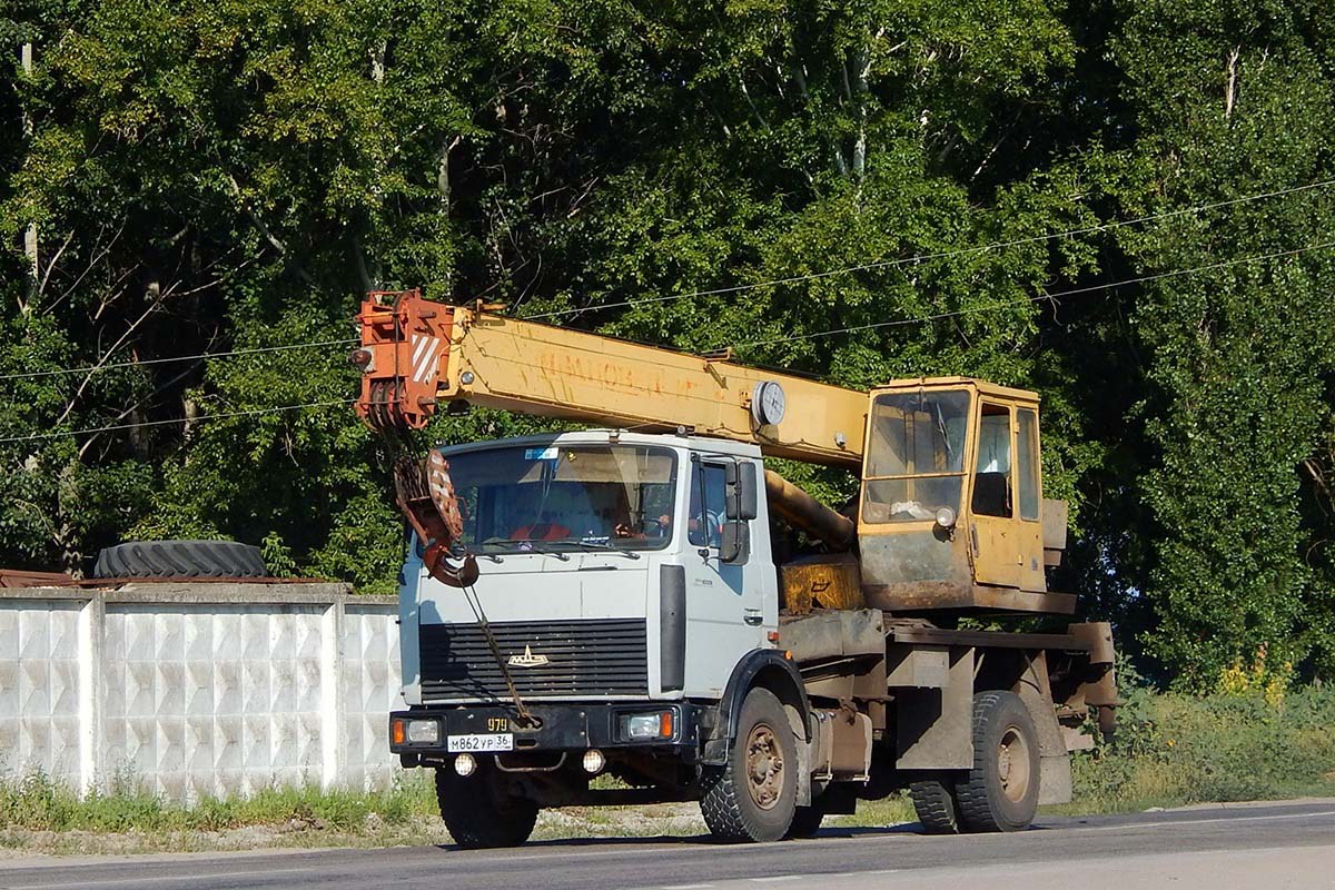 Воронежская область, № М 862 УР 36 — МАЗ-533702