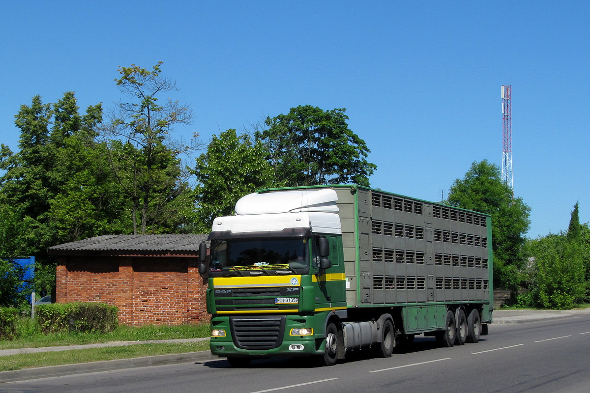 Польша, № WCI 31357 — DAF XF105 FT