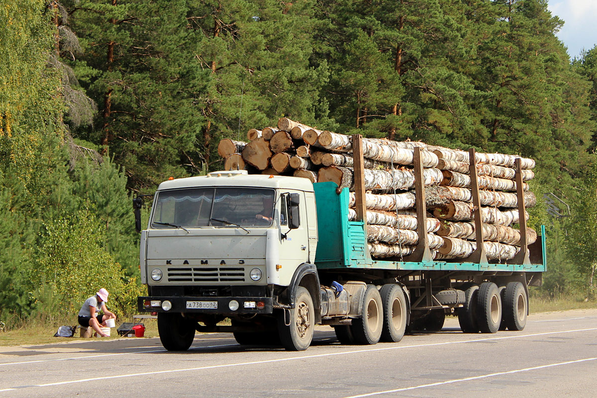 Рязанская область, № А 738 ОО 62 — КамАЗ-5410