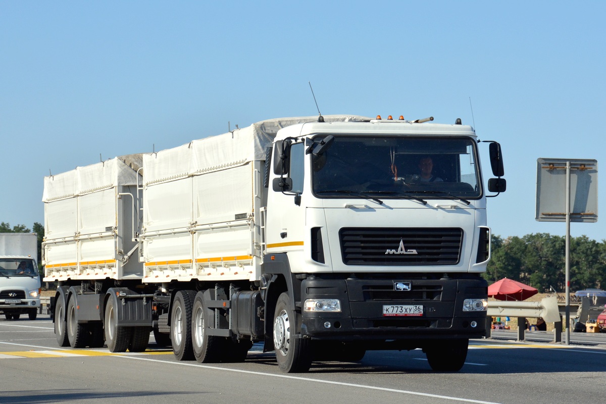 Воронежская область, № К 773 ХУ 36 — МАЗ-6501 (общая модель)