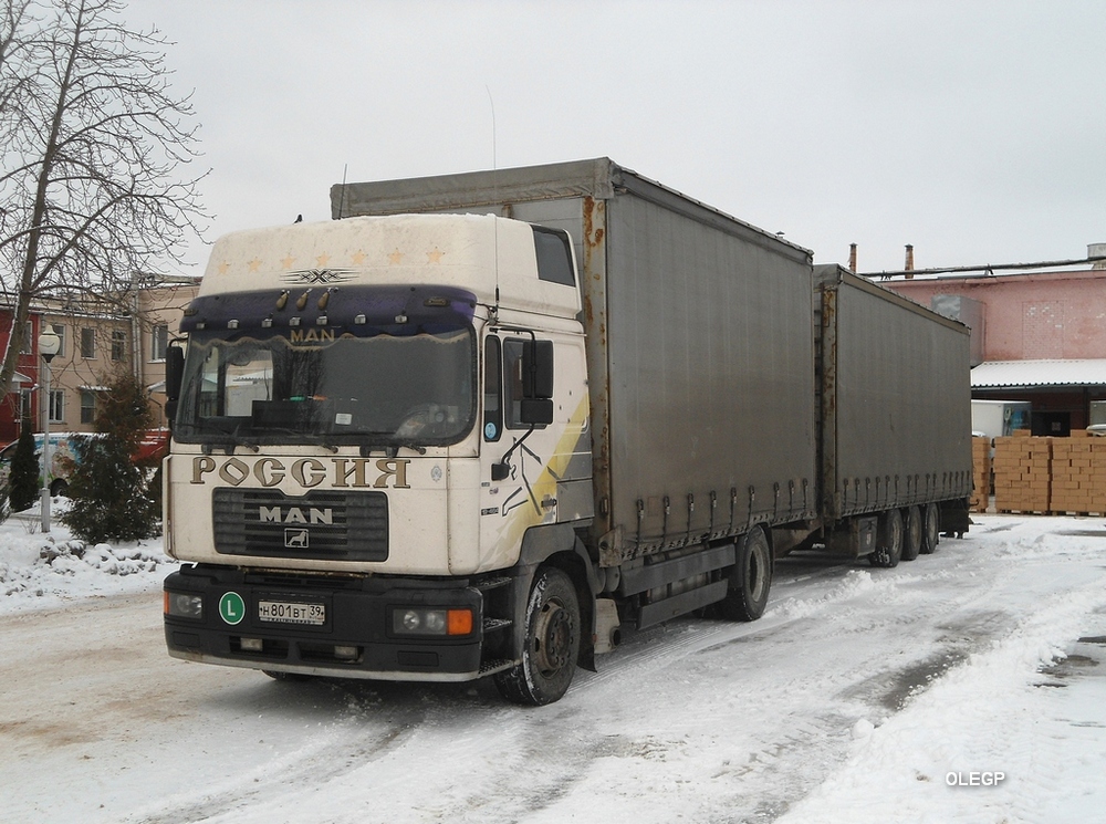 Калининградская область, № Н 801 ВТ 39 — MAN F2000 19.464