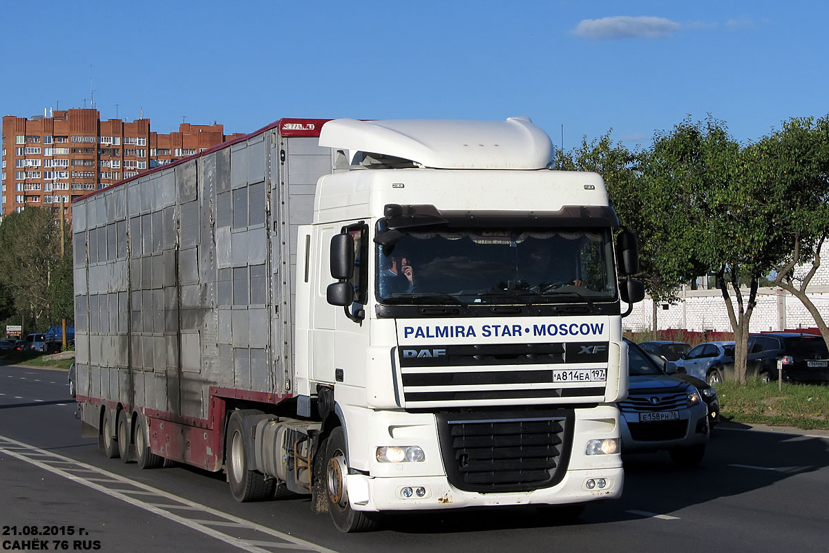 Москва, № А 814 ЕА 197 — DAF XF105 FT