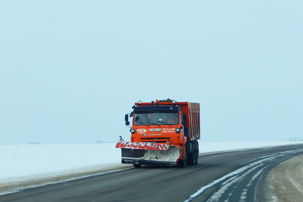 Воронежская область, № Р 698 ХС 36 — КамАЗ-6520-73