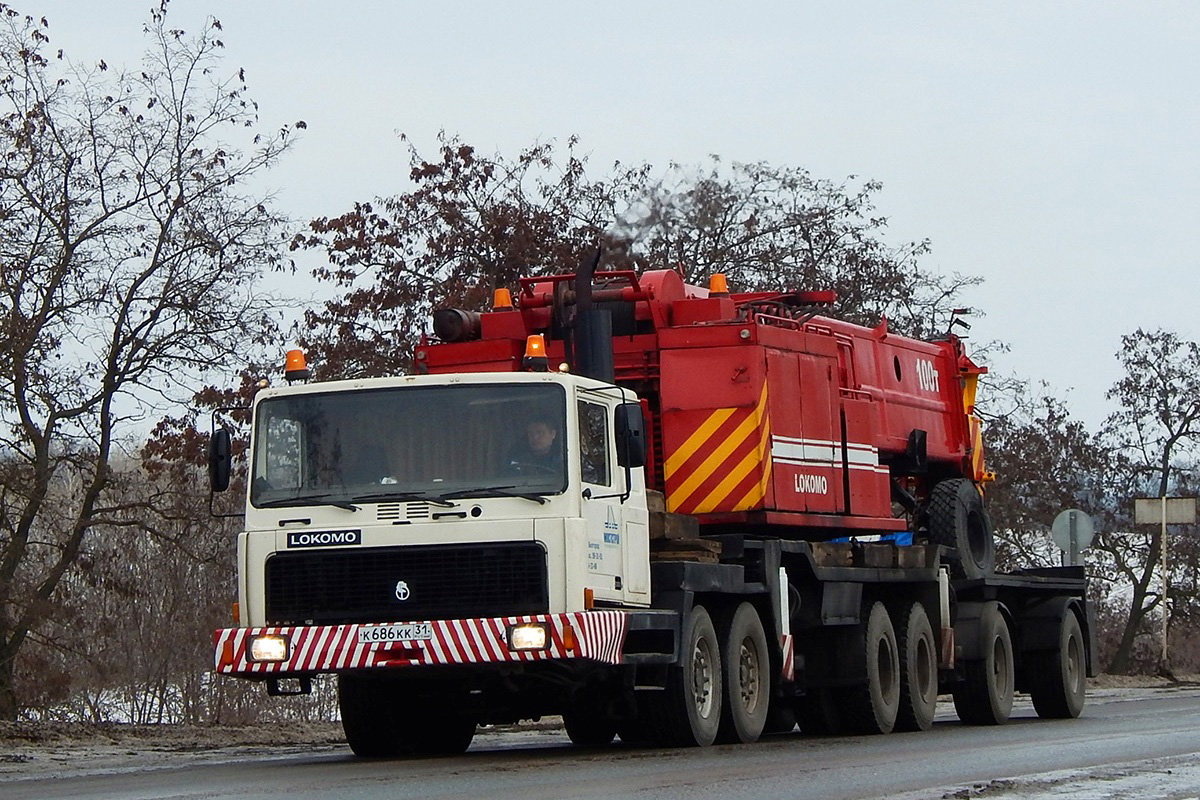 Белгородская область, № К 686 КК 31 — Lokomo A395BZT