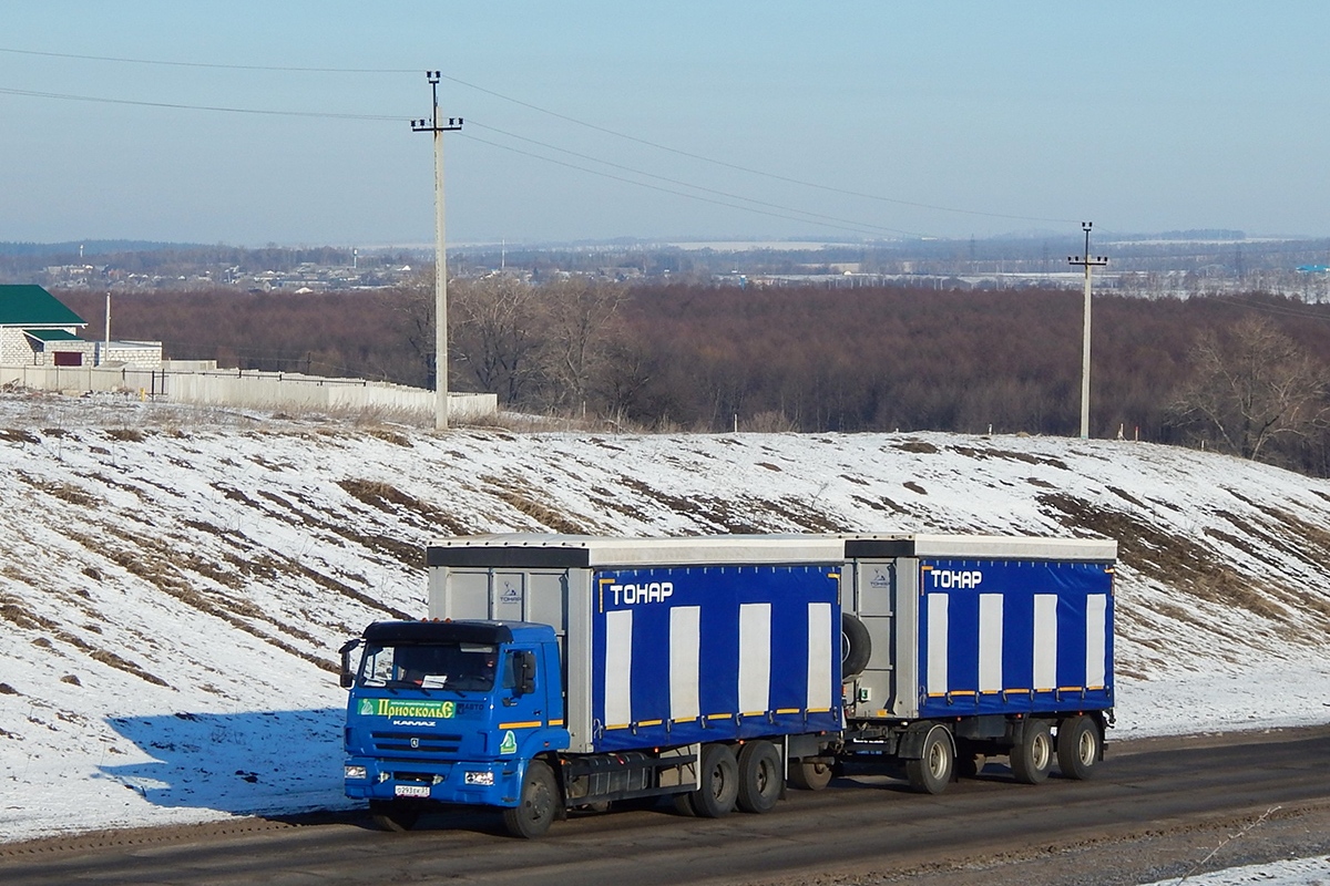 Белгородская область, № О 293 ЕК 31 — КамАЗ-65117 (общая модель)