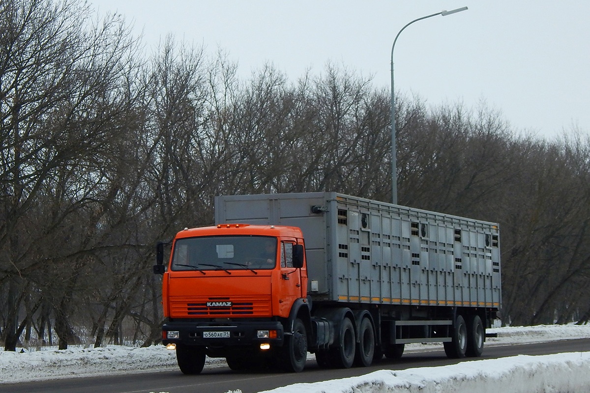 Белгородская область, № О 560 АЕ 31 — КамАЗ-54115 (общая модель)