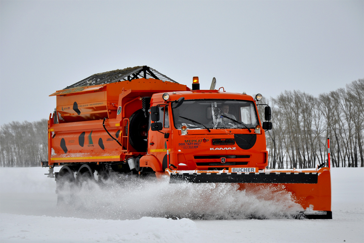 Алтайский край, № (22) Б/Н 0087 — КамАЗ-65115 (общая модель); Алтайский край — Автомобили без номеров