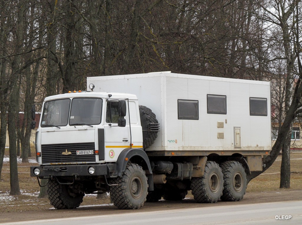 Витебская область, № АВ 6147-2 — МАЗ-6317 (общая модель)