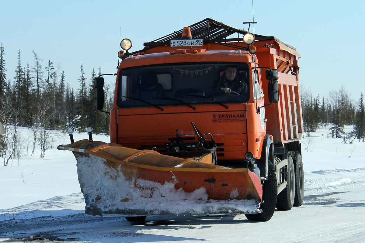 Ямало-Ненецкий автоном.округ, № В 528 СН 89 — КамАЗ-65115 (общая модель)