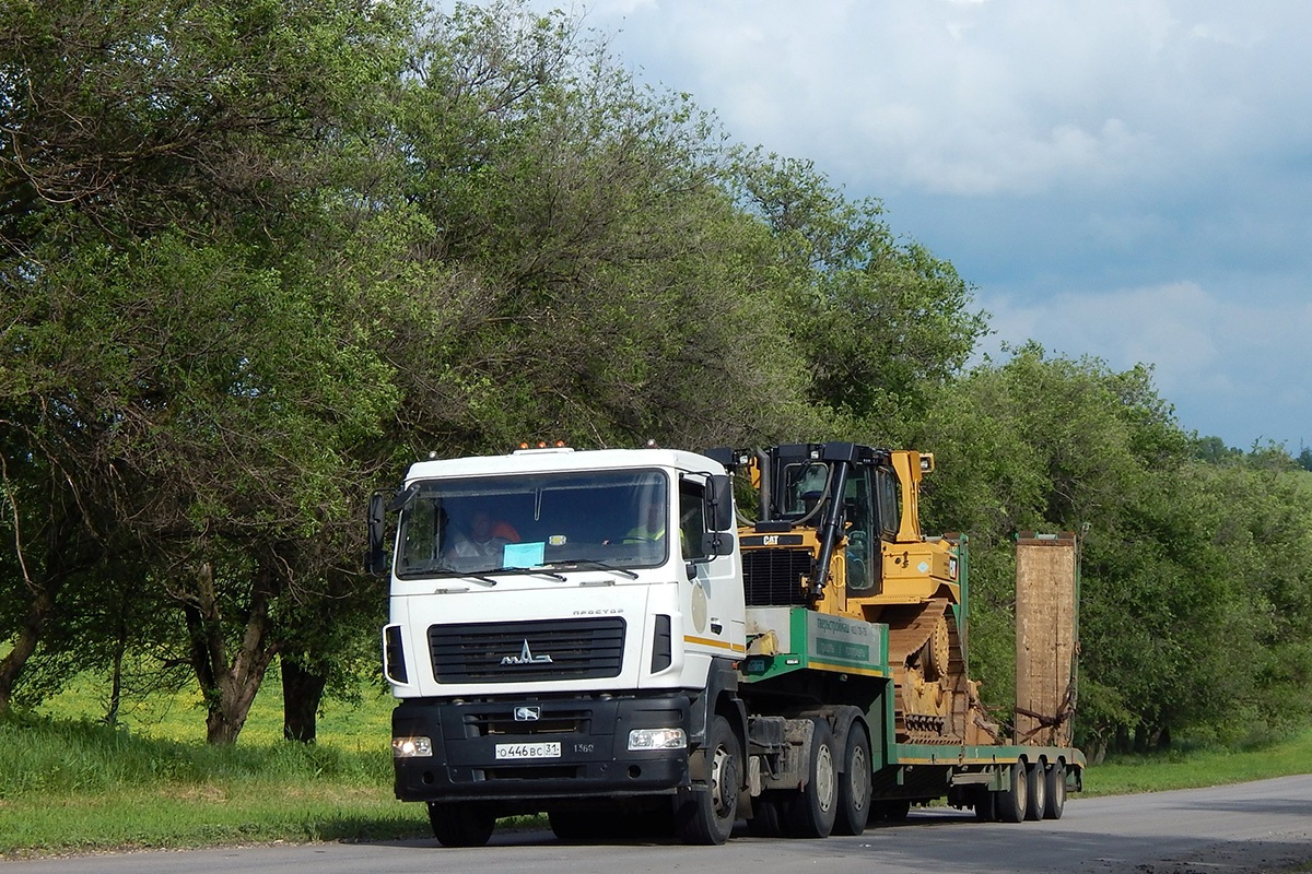 Белгородская область, № О 446 ВС 31 — МАЗ-6430 (общая модель)