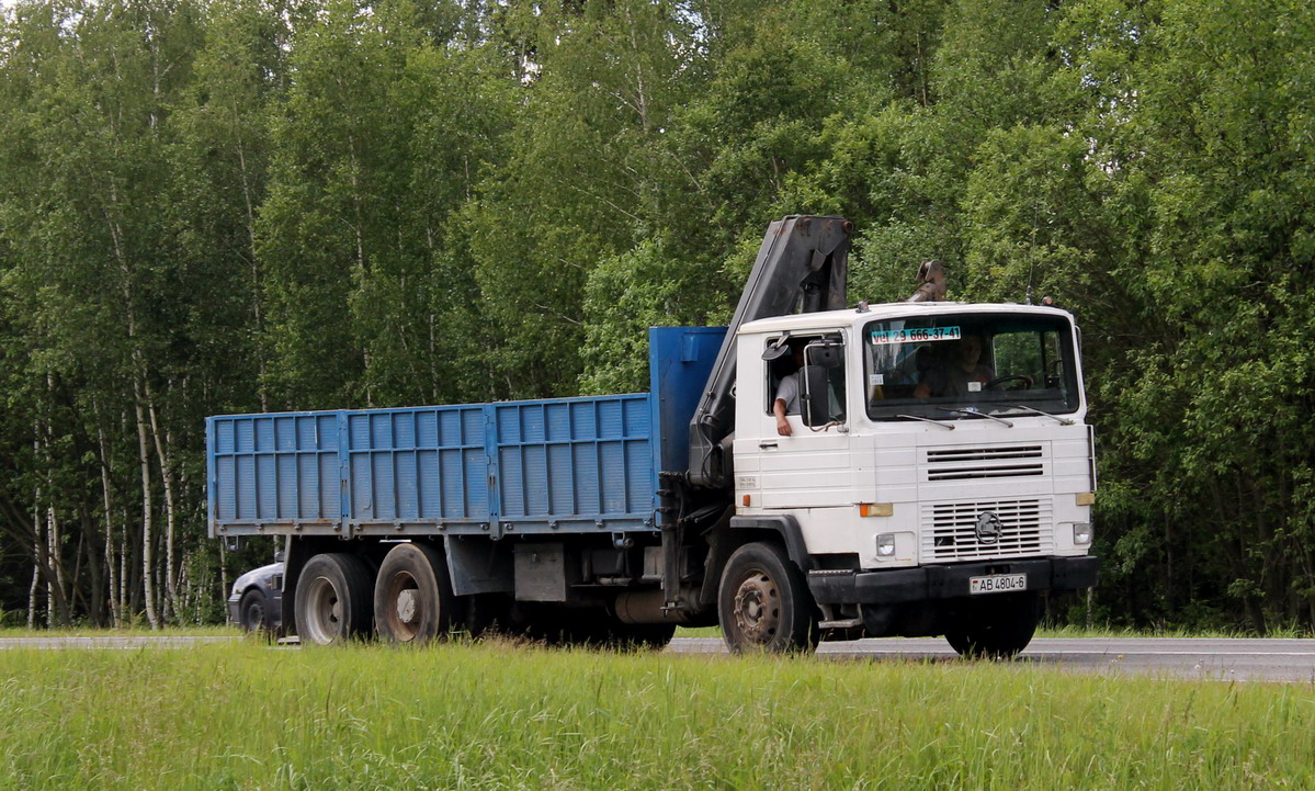 Могилёвская область, № АВ 4804-6 — Pegaso (общая модель)