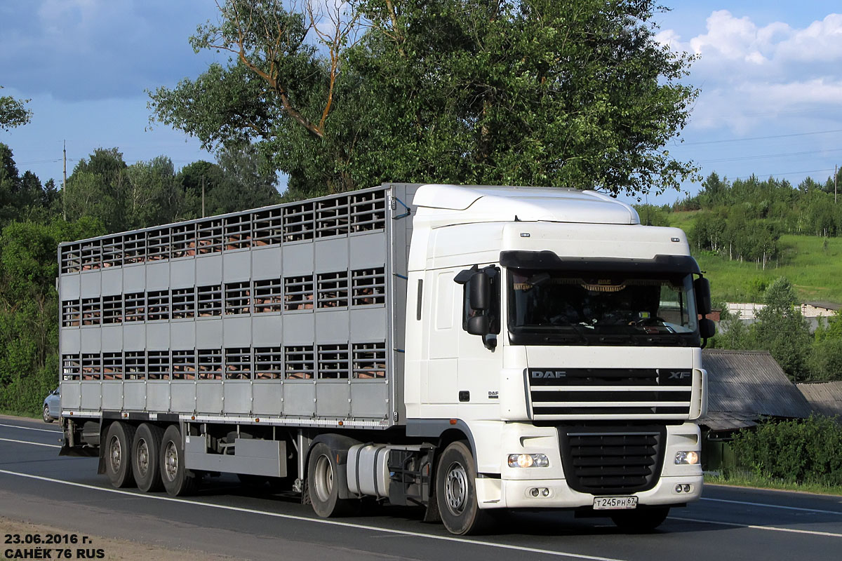 Смоленская область, № Т 245 РН 67 — DAF XF105 FT