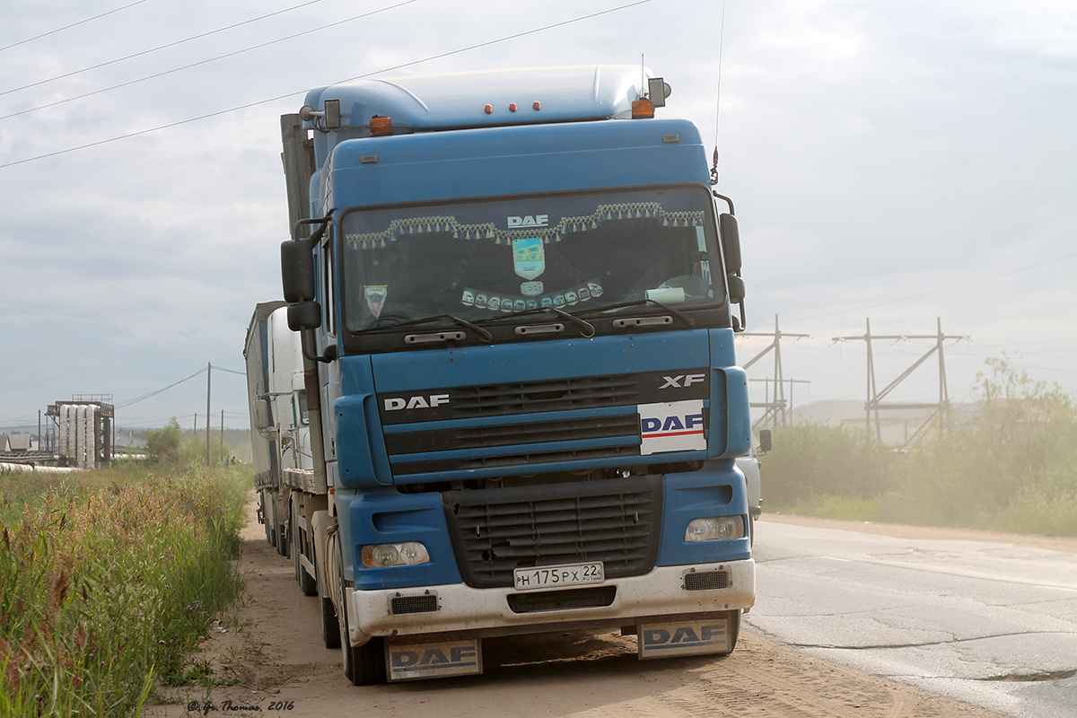 Алтайский край, № Н 175 РХ 22 — DAF XF95 FT