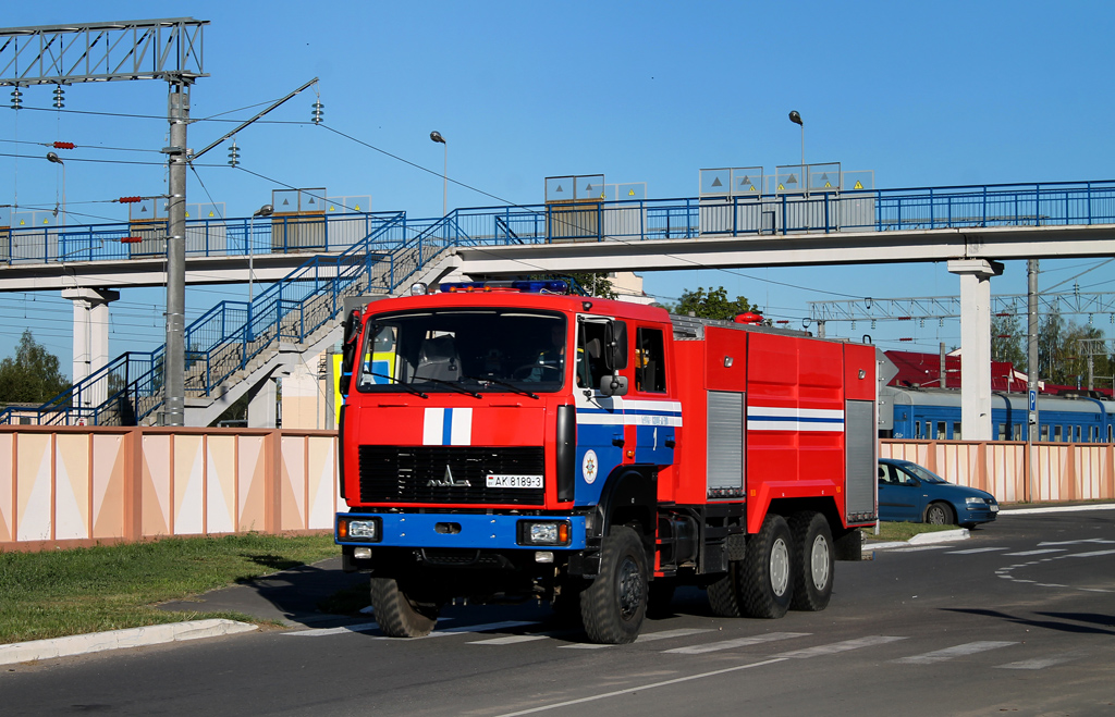 Гомельская область, № АК 8189-3 — МАЗ-6317 (общая модель)