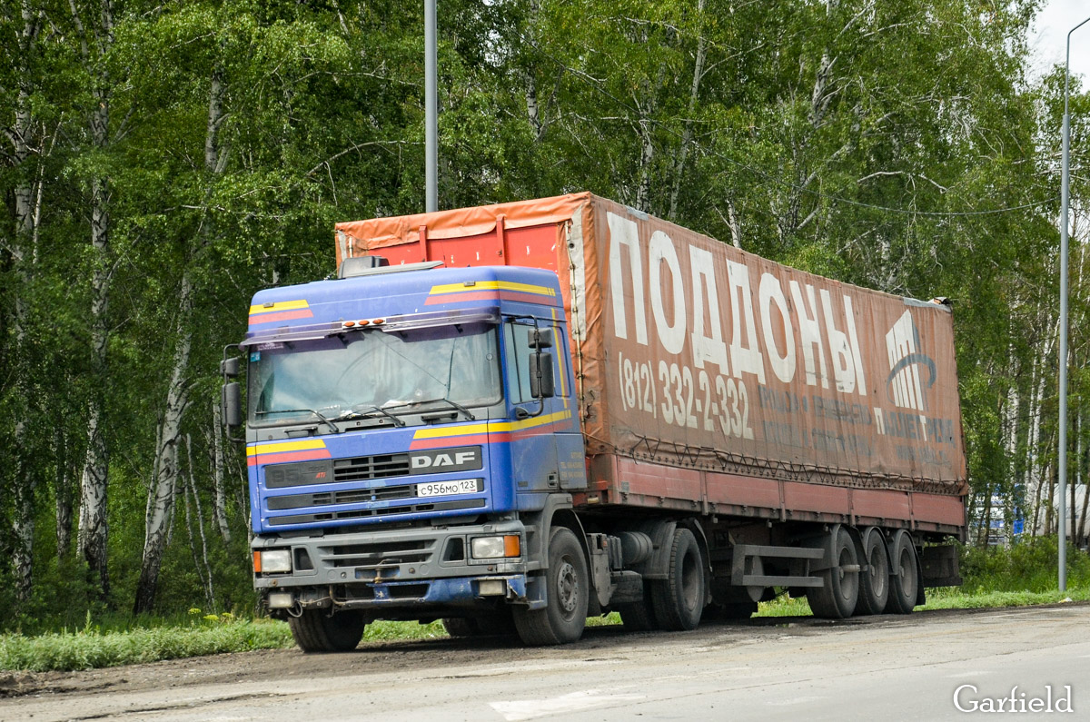 Краснодарский край, № С 956 МО 123 — DAF 95 FT