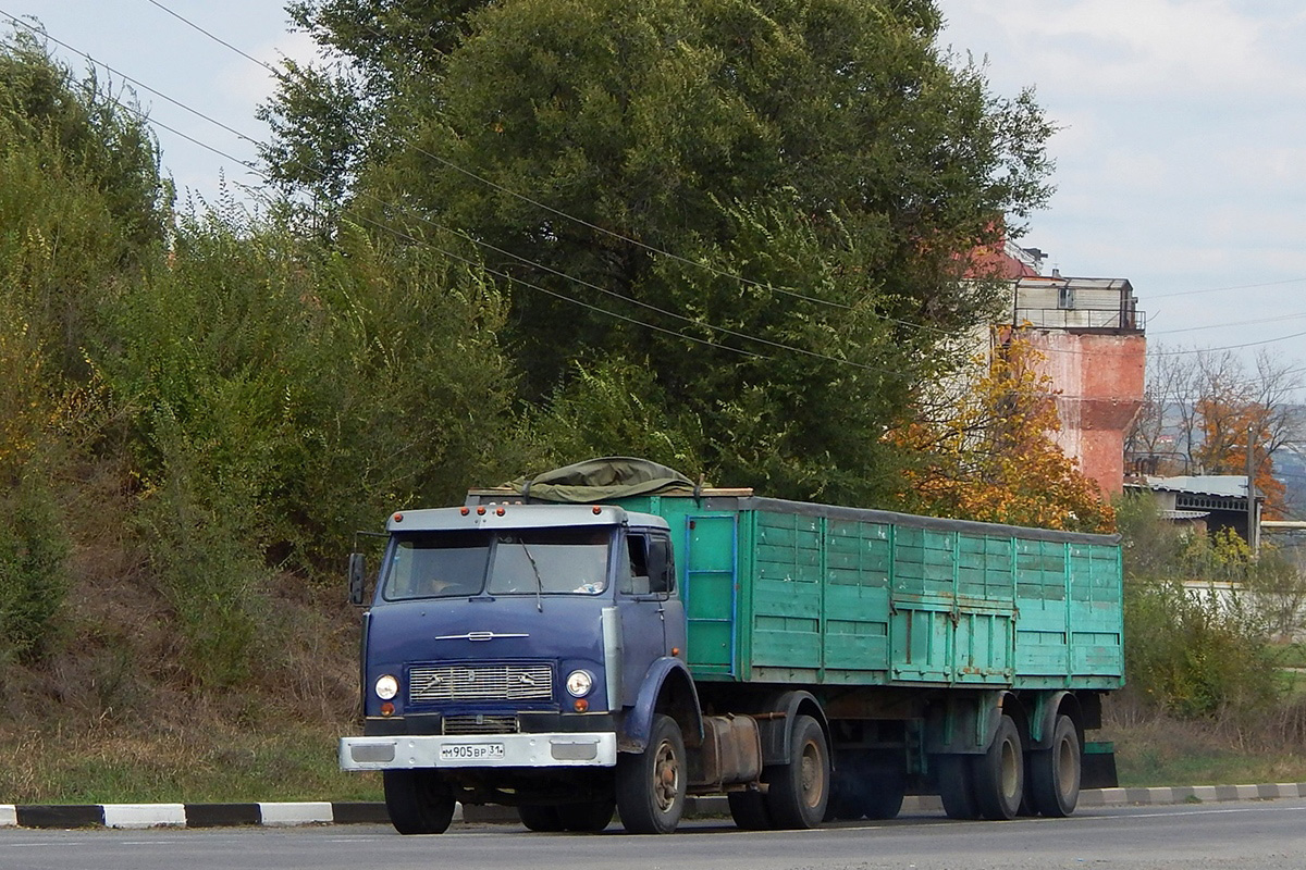 Белгородская область, № М 905 ВР 31 — МАЗ-5429