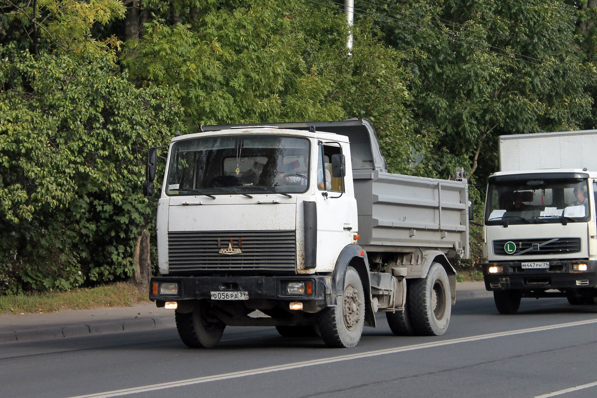 Калининградская область, № О 056 РА 39 — МАЗ-555102