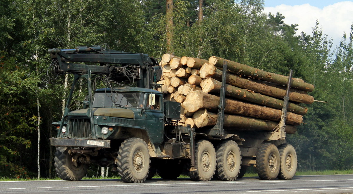 Могилёвская область, № ТМ 3636 — Урал-375 (общая модель)