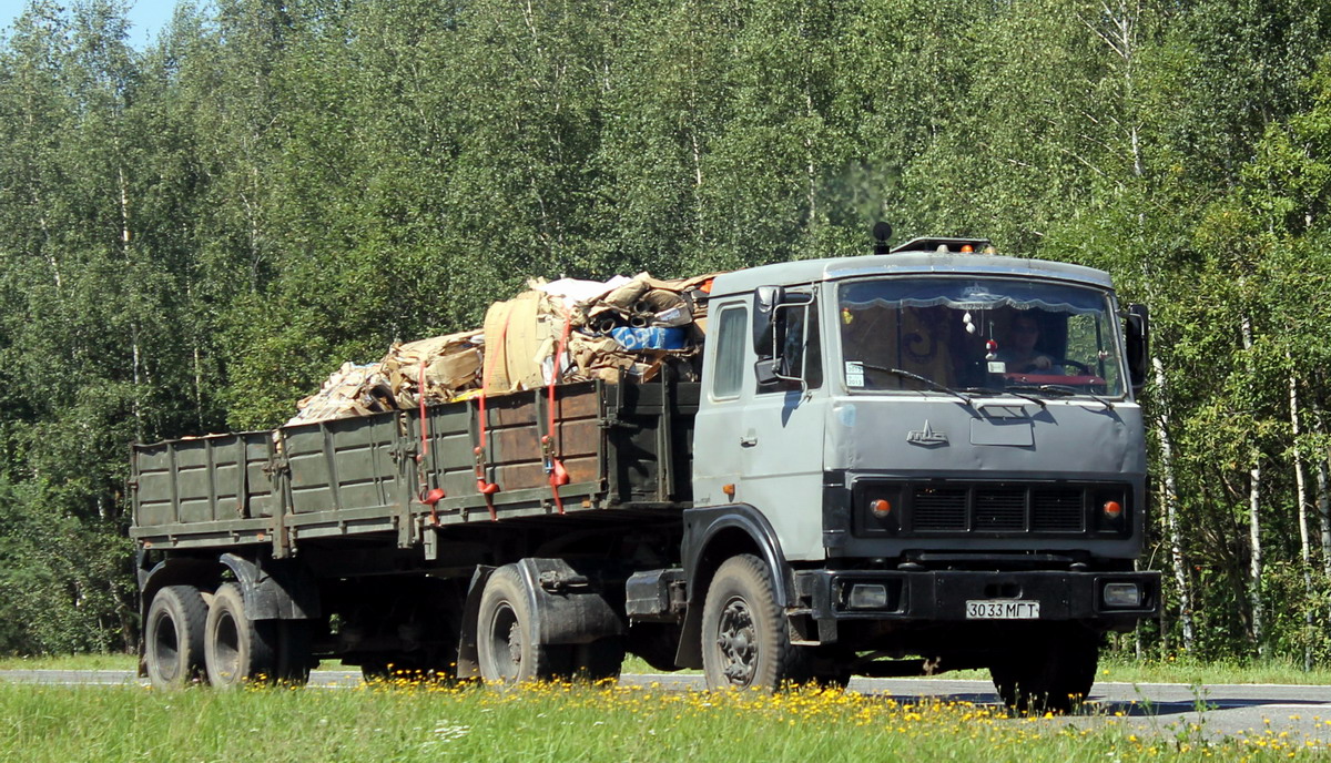 Могилёвская область, № 3033 МГТ — МАЗ-5432 (общая модель)