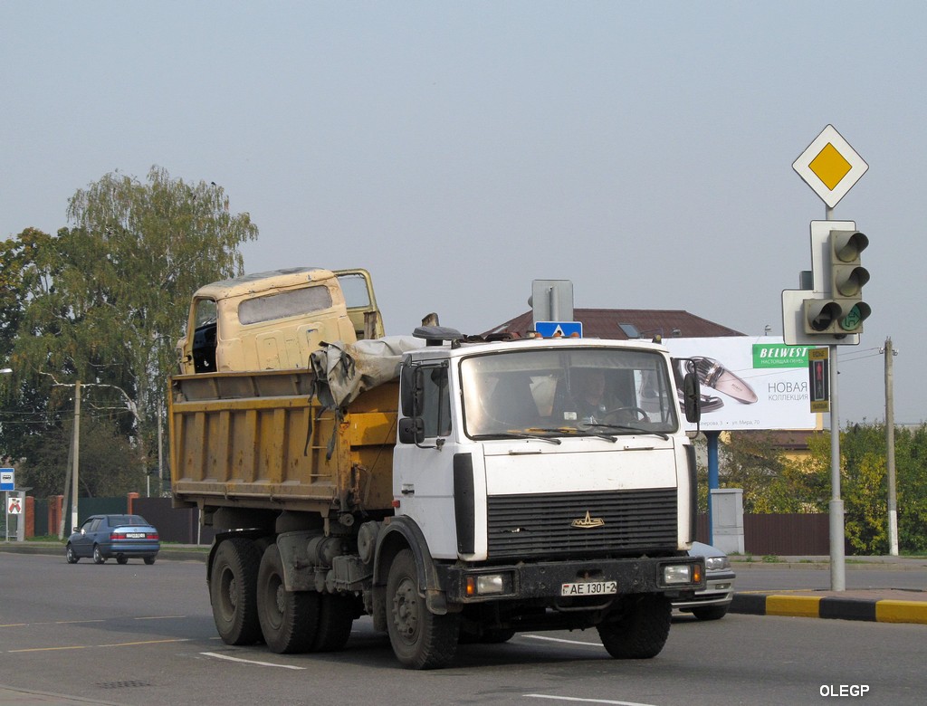 Витебская область, № АЕ 1301-2 — МАЗ-5516 (общая модель)