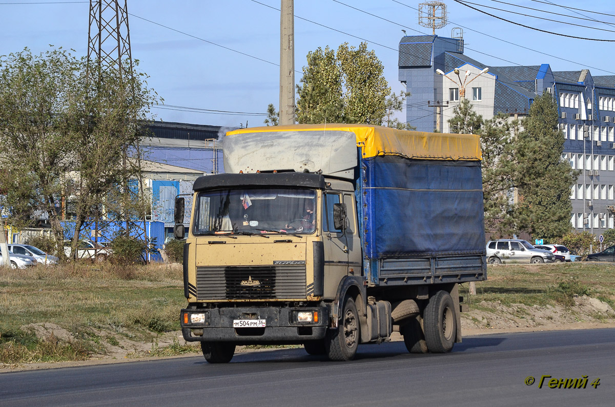 Воронежская область, № М 504 РМ 36 — МАЗ-5336 (общая модель)