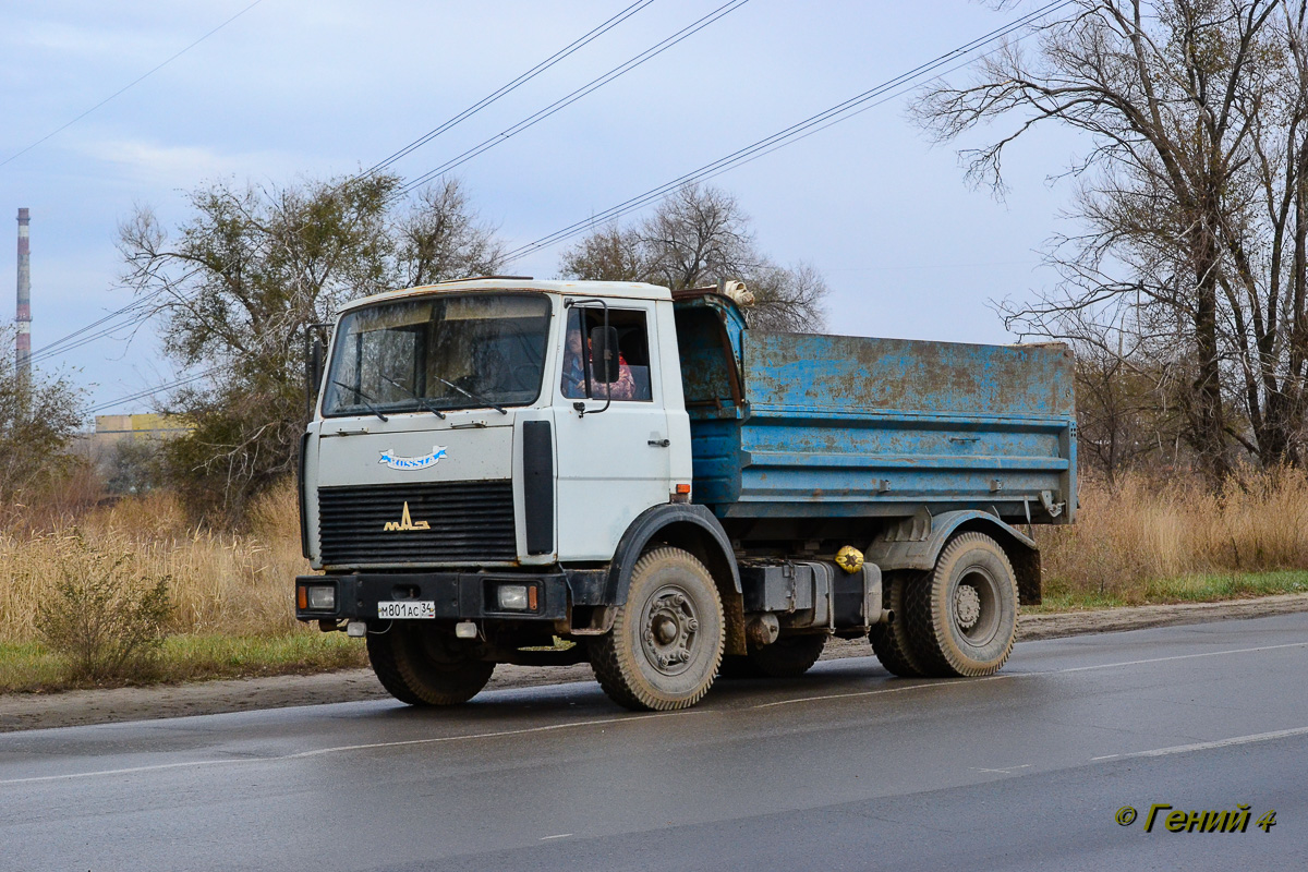 Волгоградская область, № М 801 АС 34 — МАЗ-5551 [555100]