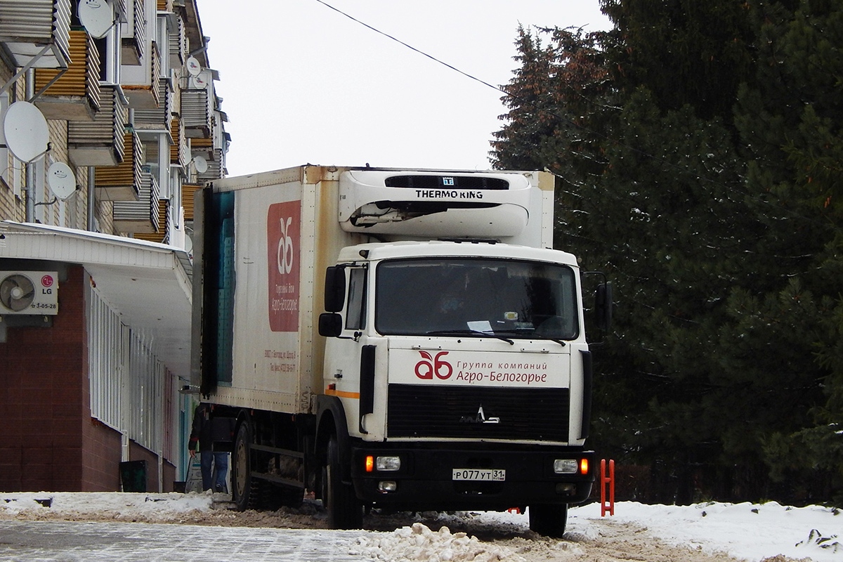 Белгородская область, № Р 077 УТ 31 — МАЗ-5336A3