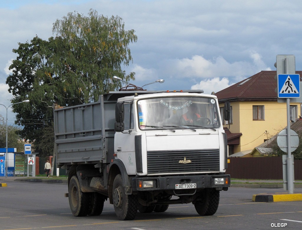 Витебская область, № АЕ 7309-2 — МАЗ-5551 (общая модель)